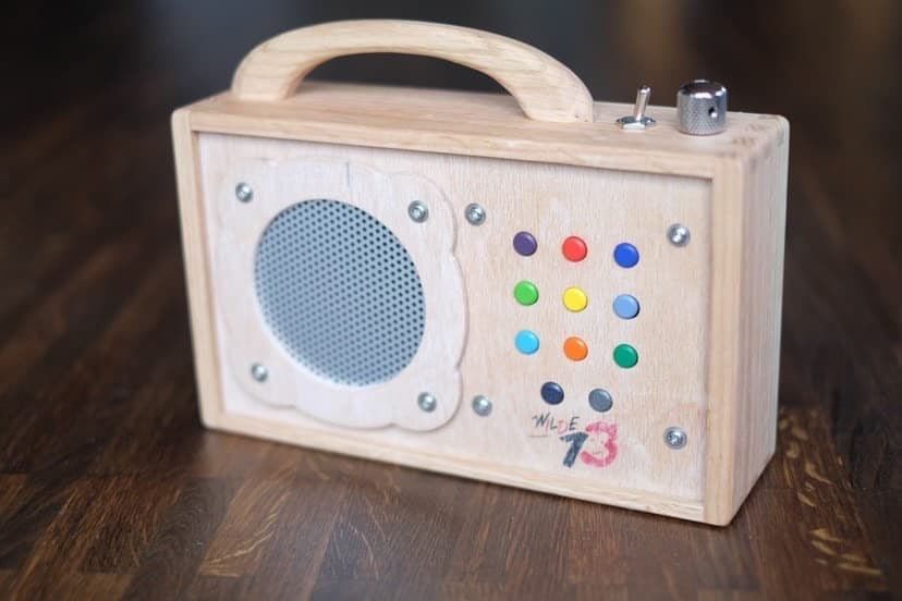 Elektronik Bausatz Wilde 13